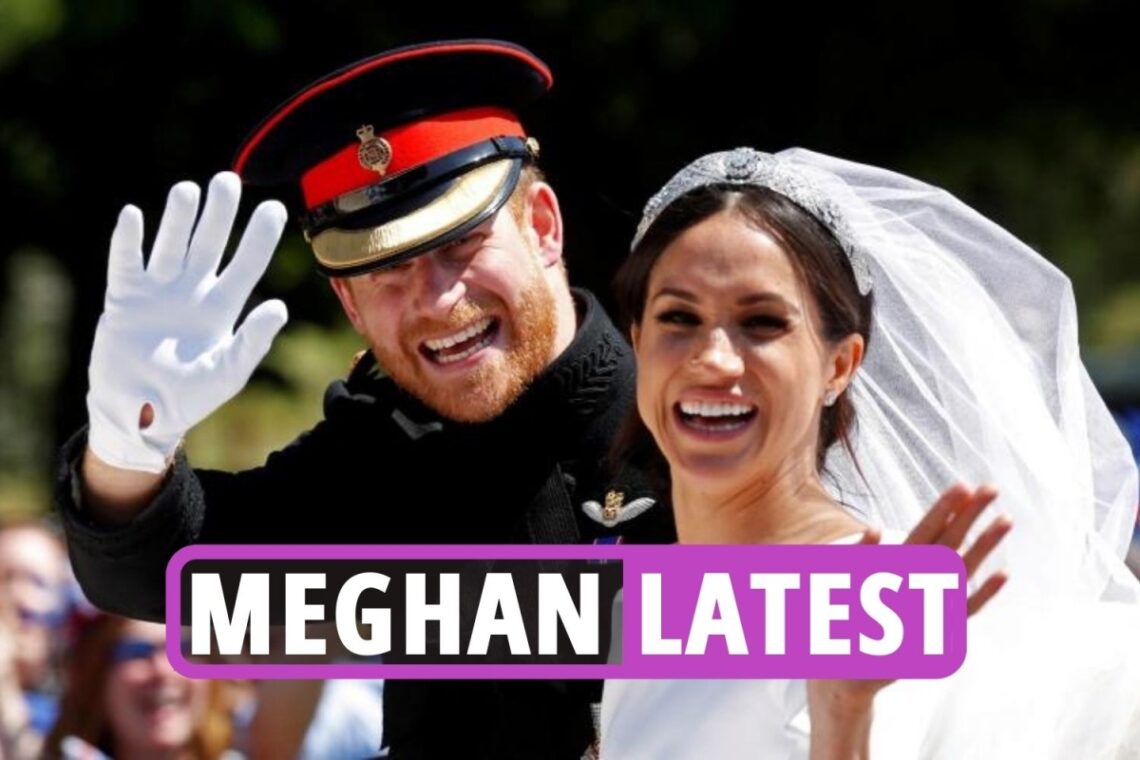 Meghan Markle news latest – Idris Elba reveals Meg & Harry’s illustrious wedding reception was ‘most stressful gig ever’