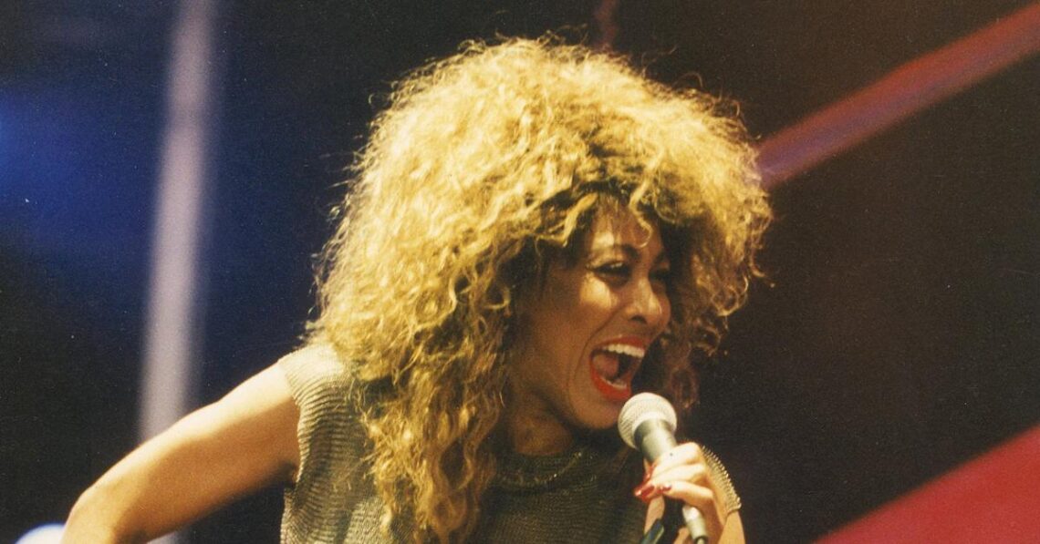 Tina Turner Sues German Impersonator Over Tribute Show, Fears Fans Will Believe It’s Her