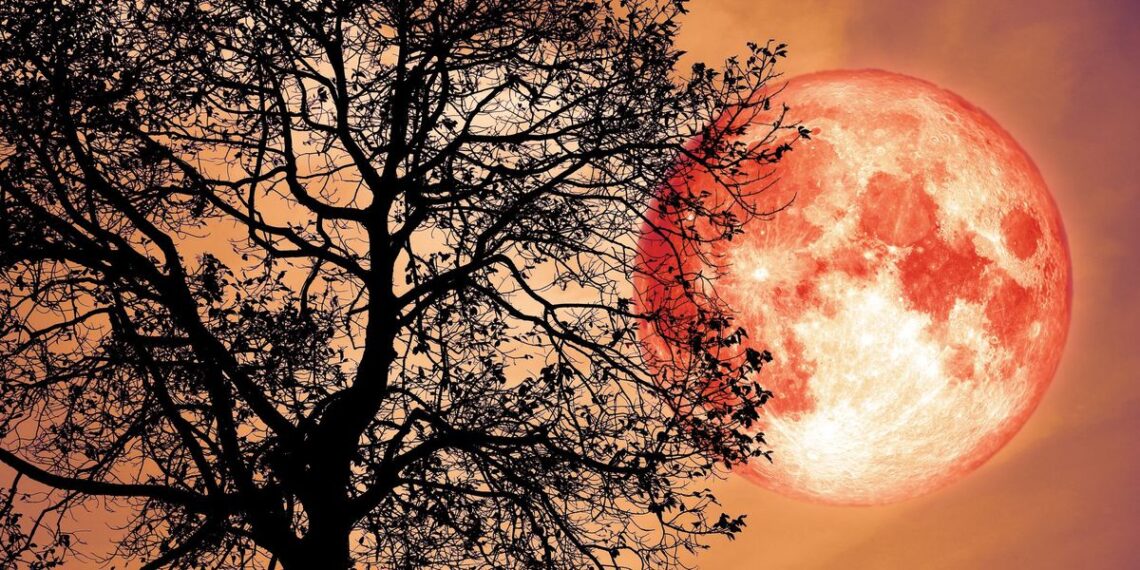 The Full Strawberry Moon Could Make You Want To Change Everything