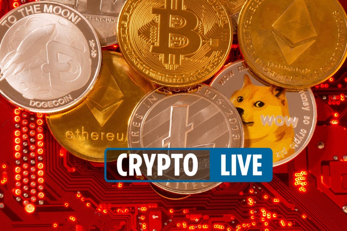 Shiba Inu coin down today and Bitcoin up as GYEN crypto launches on CoinBase Shiba Inu coin down today and Bitcoin up as GYEN crypto launches on CoinBase