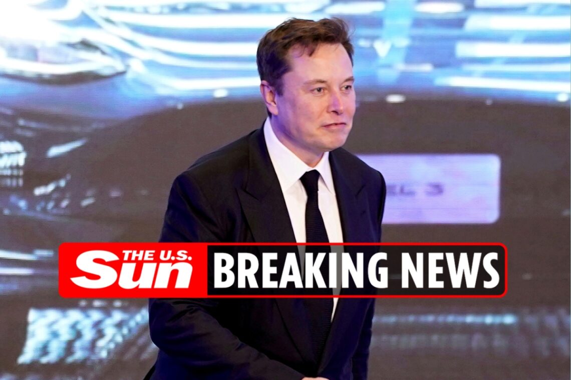 Elon Musk sells over $286MILLION of Tesla shares after Twitter poll shaves $60billion off company’s market value Elon Musk sells over $286MILLION of Tesla shares after Twitter poll shaves $60billion off company’s market value