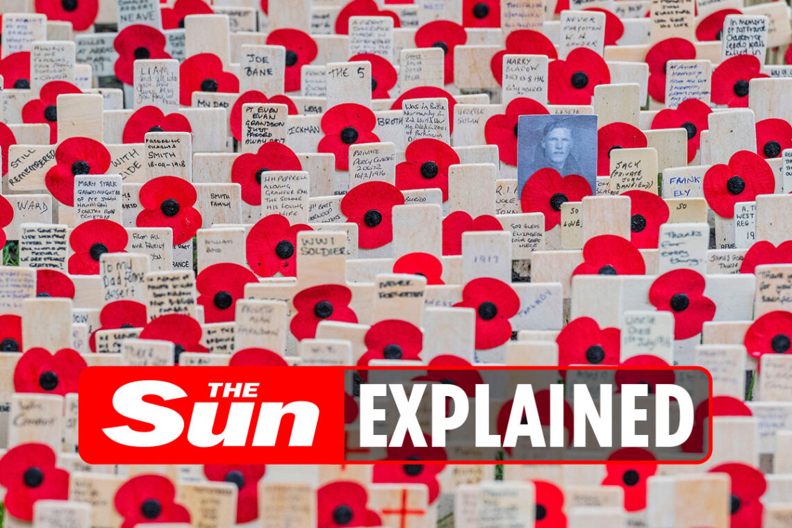 Remembrance Day quotes and poems to remember the fallen Remembrance Day quotes and poems to remember the fallen