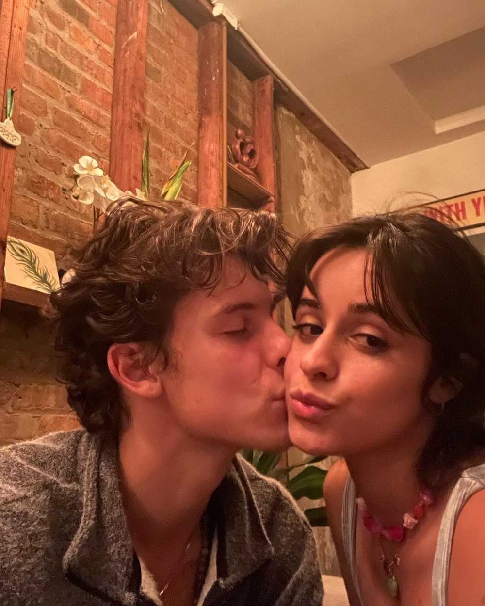 Why Did Camila Cabello and Shawn Mendes Break-Up?
