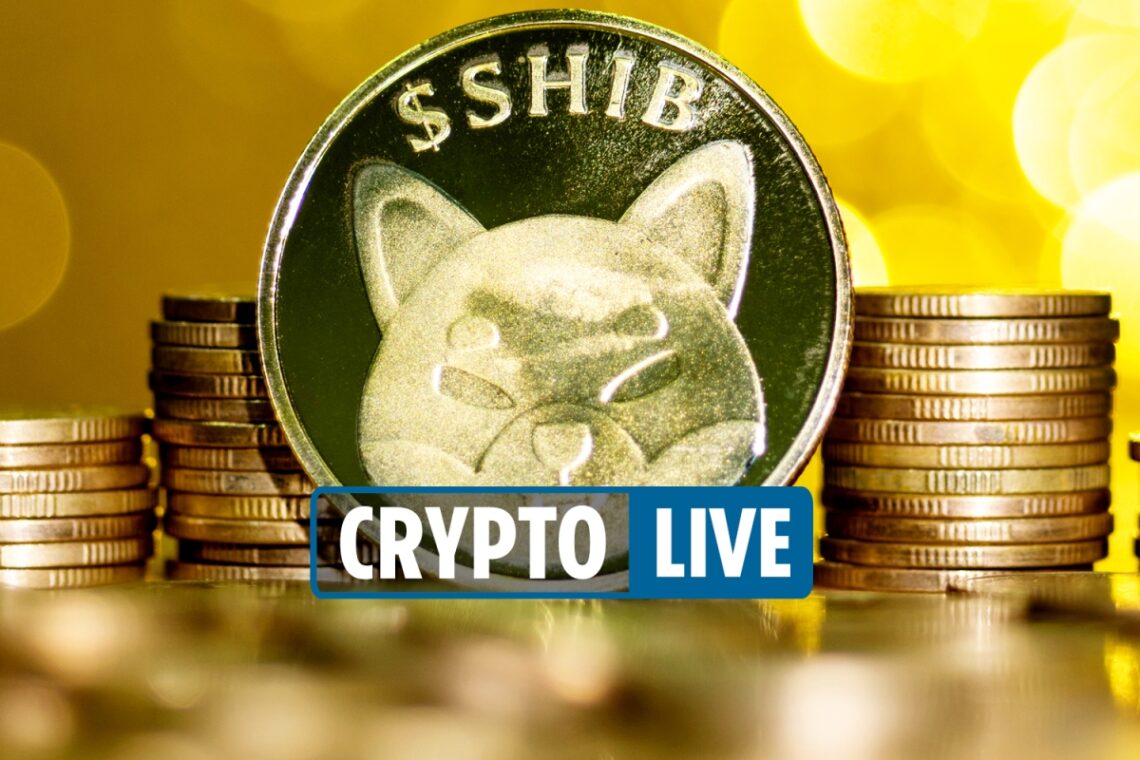 Cryptocurrency price LIVE – Bitcoin fears after 20% plunge and Shiba Inu in danger as meme coin loses 50% in 3 weeks