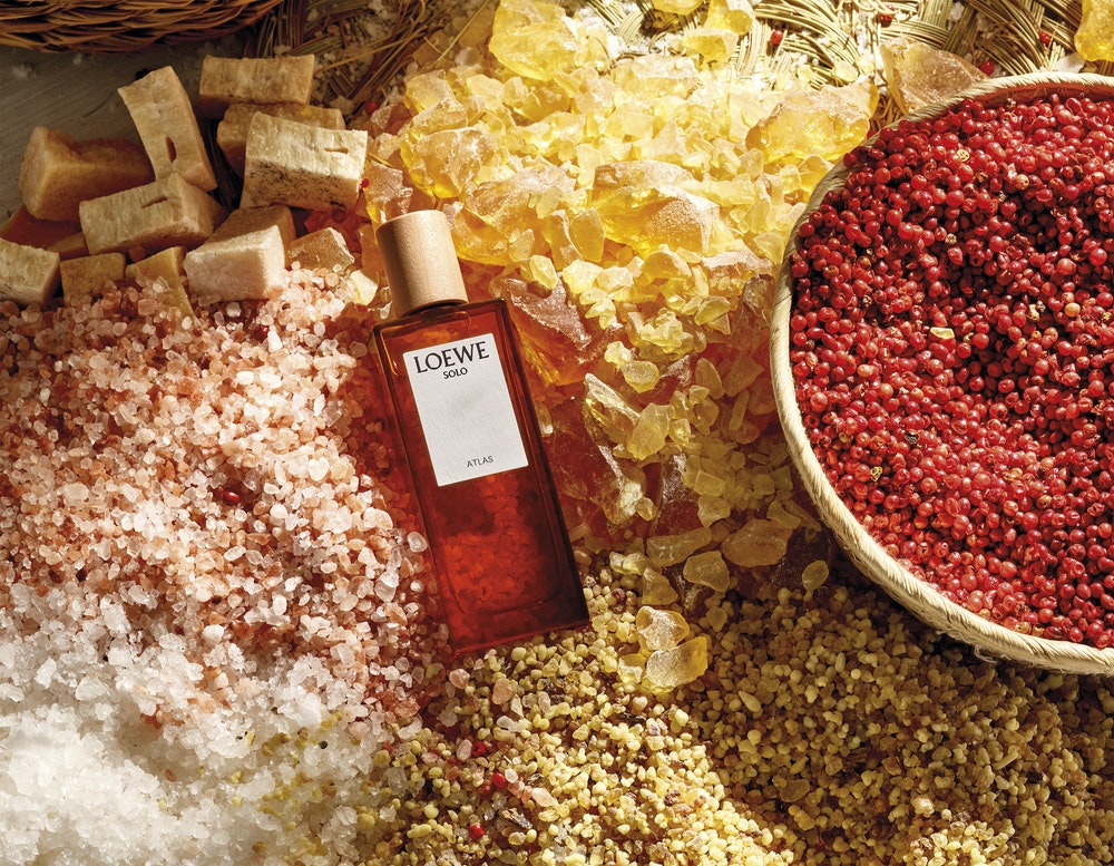 Loewe Solo Atlas Fragrance: An Evocation of the Mountains — Loewe Botanical Rainbow Perfum