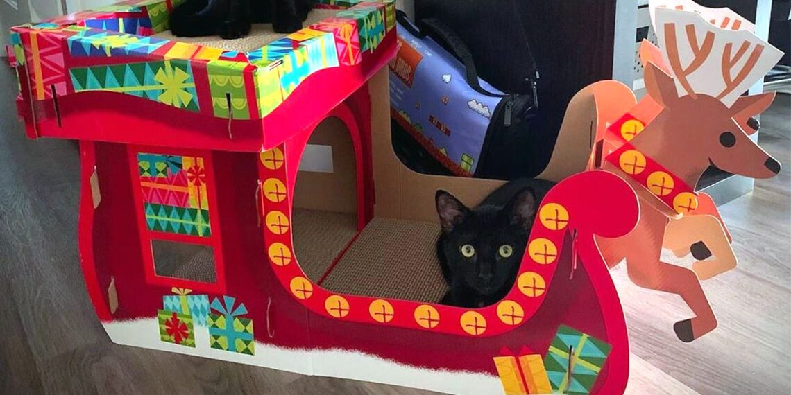 Target Has Christmas Cat Houses in 8 Designs for Pet-Approved Holiday Fun