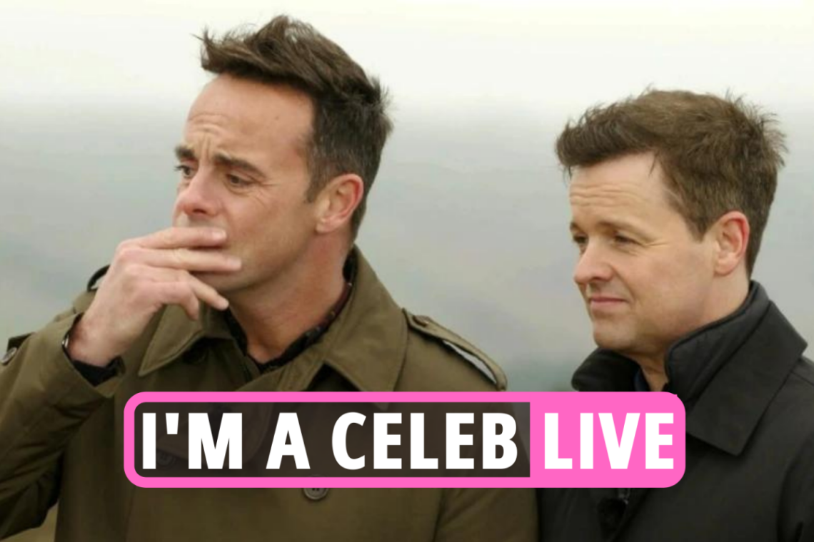 I’m A Celebrity 2021 news: Show return could be delayed for DAYS while Naughty Boy ‘hiding’ secret from campmates