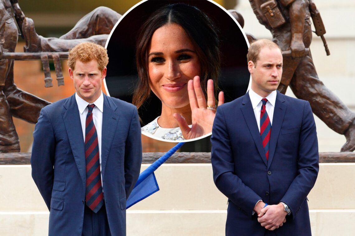 Prince Harry lashed out at William for doubting Meghan romance, book says