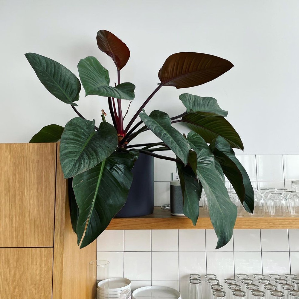 The Practical Gift Guide: 10 Surefire Successes With a Touch of Luxury