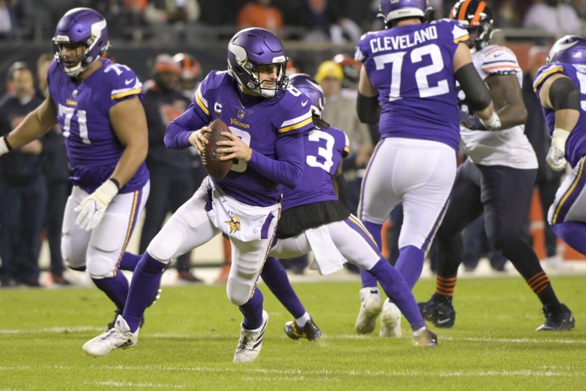 Who owns the Chicago Bears?