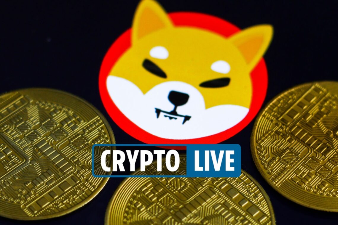 Cryptocurrency price LIVE – Shiba Inu coin and Bitcoin up but Coinbase down before Robinhood’s crypto wallet launch