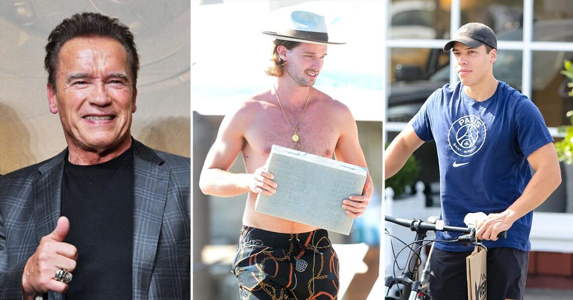 Arnold Schwarzenegger’s Son Patrick Faces Off With Half-Brother Joseph Baena For Biggest Muscles During Shirtless Hawaiian Vacation
