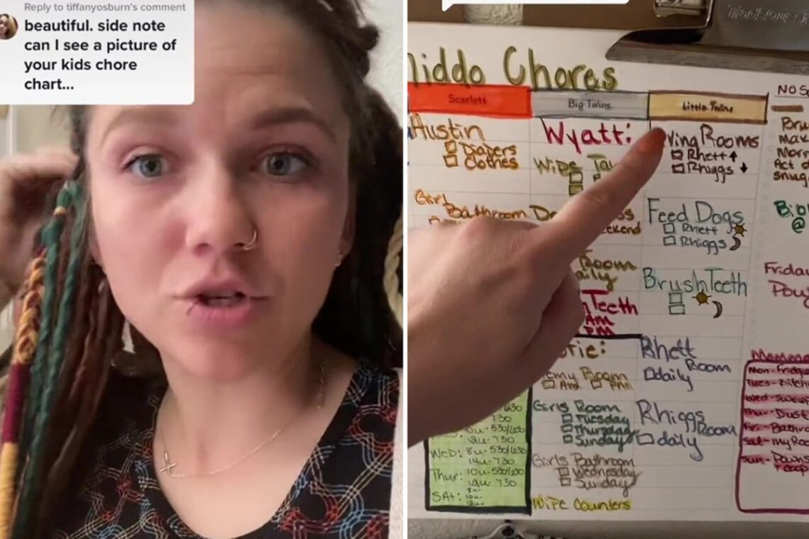 I’m a mum-of-10 and have the perfect chore chart for my kids – and my twins, 7, don’t get let off the hook either