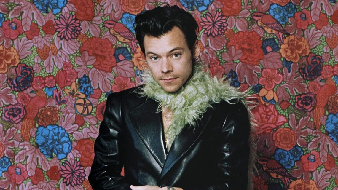 Harry Styles Taps Mick Fleetwood to Star in New Pleasing Campaign