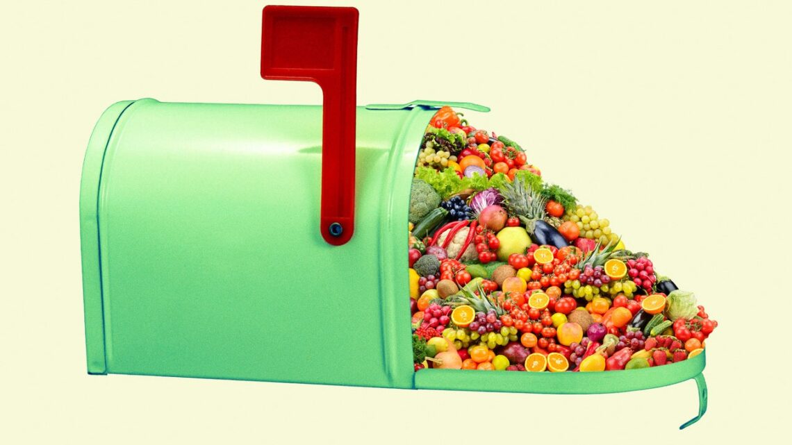 13 Best Meal Kit Delivery Services in 2022 for Any Home Chef