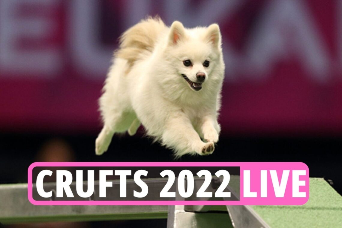 Crufts 2022 results LIVE: Day 3 of the world’s biggest dog show today