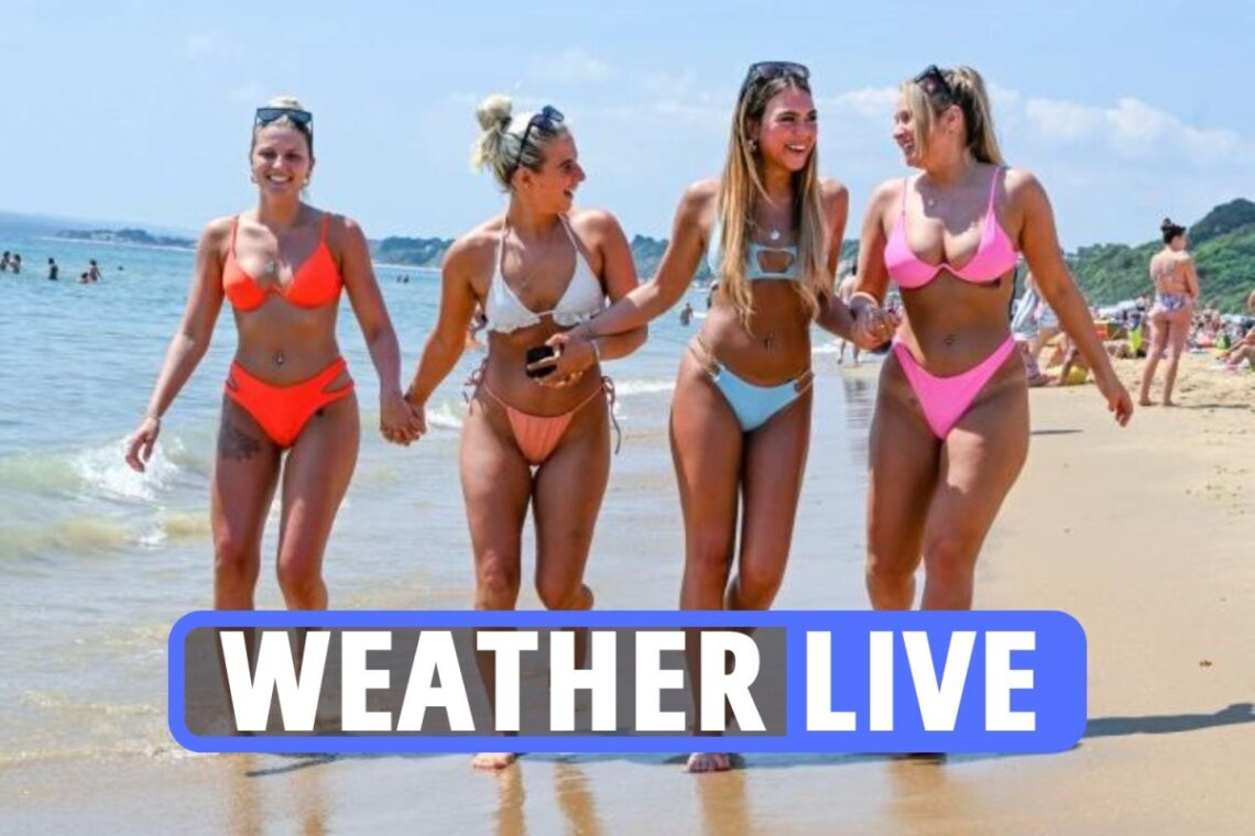 UK weather forecast: Scorching ’28C heatwave’ to hit Brits soon as Met Office warn of strong gales & rain this weekend
