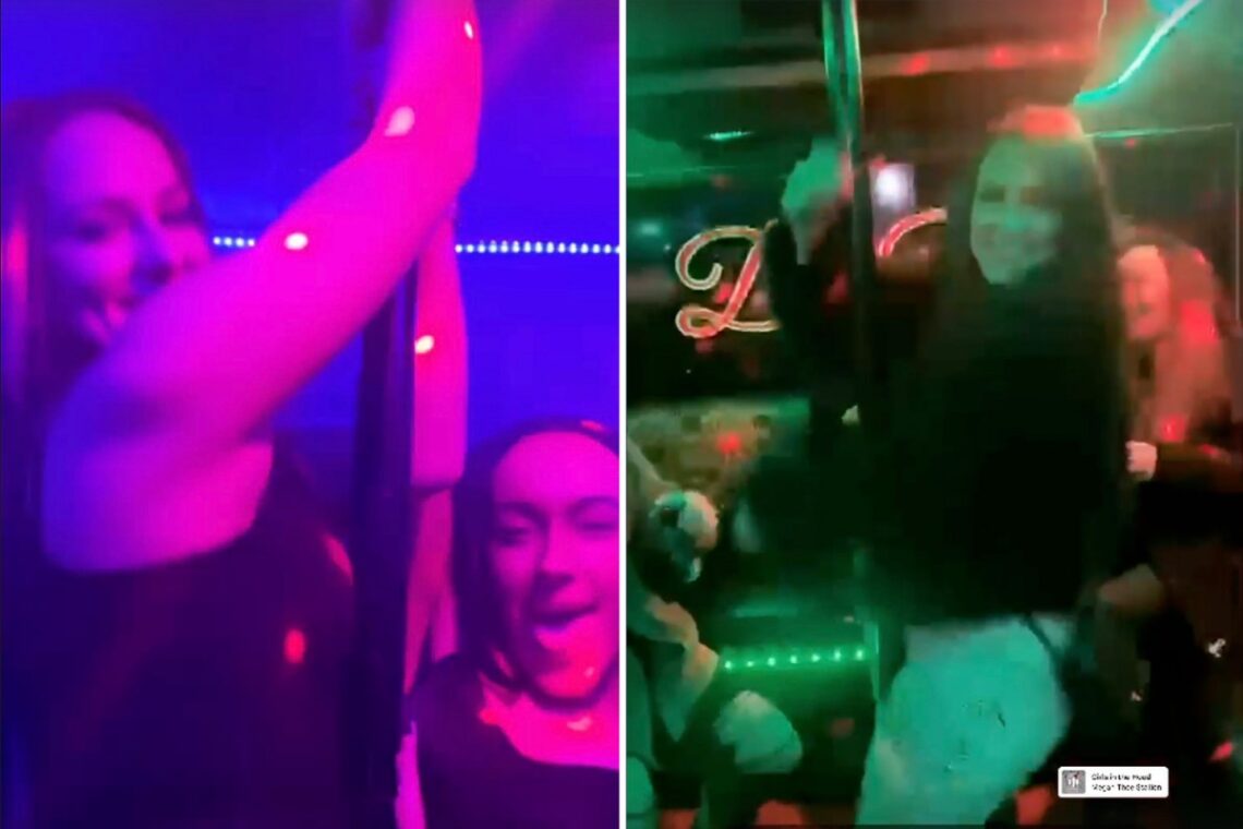 Teen Mom Leah Messer twerks on stripper pole in new video after fueling pregnancy rumors with boyfriend Jaylan Mobley