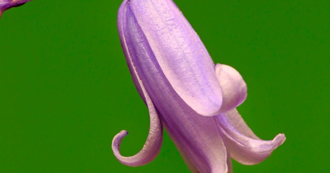 Everything To Know About 2022’s Spring Equinox