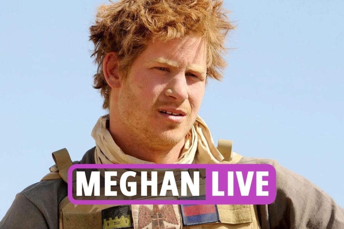 Prince Harry NEVER properly apologised for his racism and isn’t a woke icon, Bishop claims