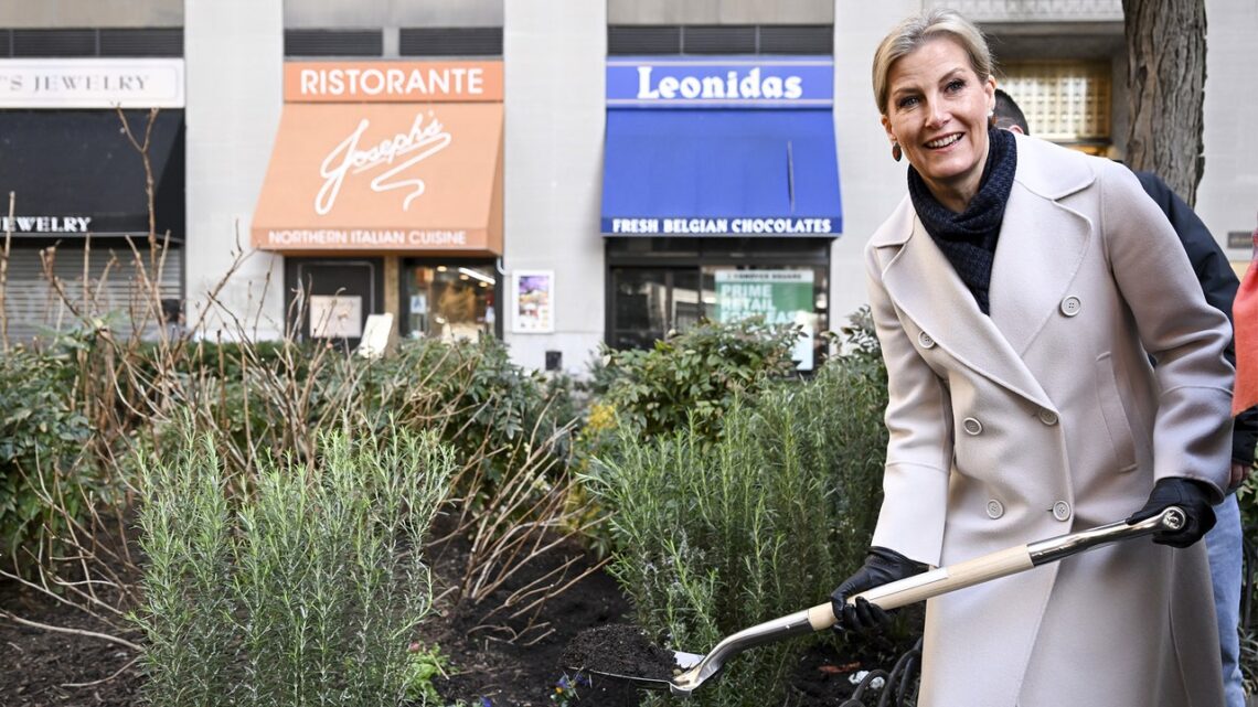 Countess Sophie’s Whirlwind New York Trip Proved Why She’s the Royals’ Secret Weapon