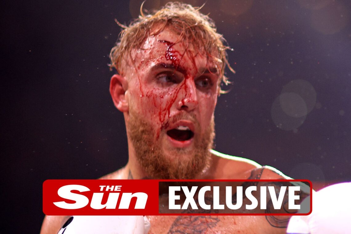 Jake Paul will NOT make MMA switch because YouTuber-turned-boxer is a ‘smart businessman’, says ex-UFC champ Cormier