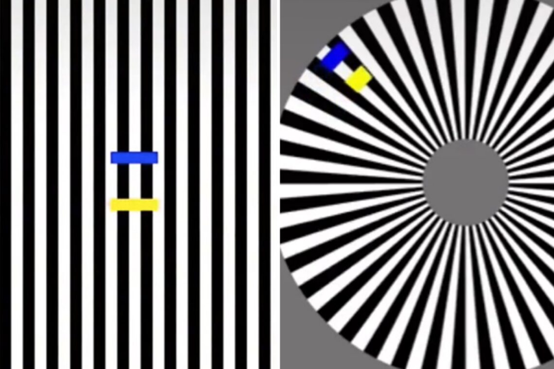 Optical illusion shows how your mind is tricked by moving colors but people disagree