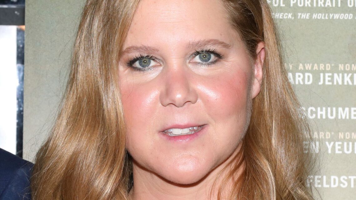 Why Amy Schumer Put Real-Life Struggle With Trichotillomania In New Hulu Show