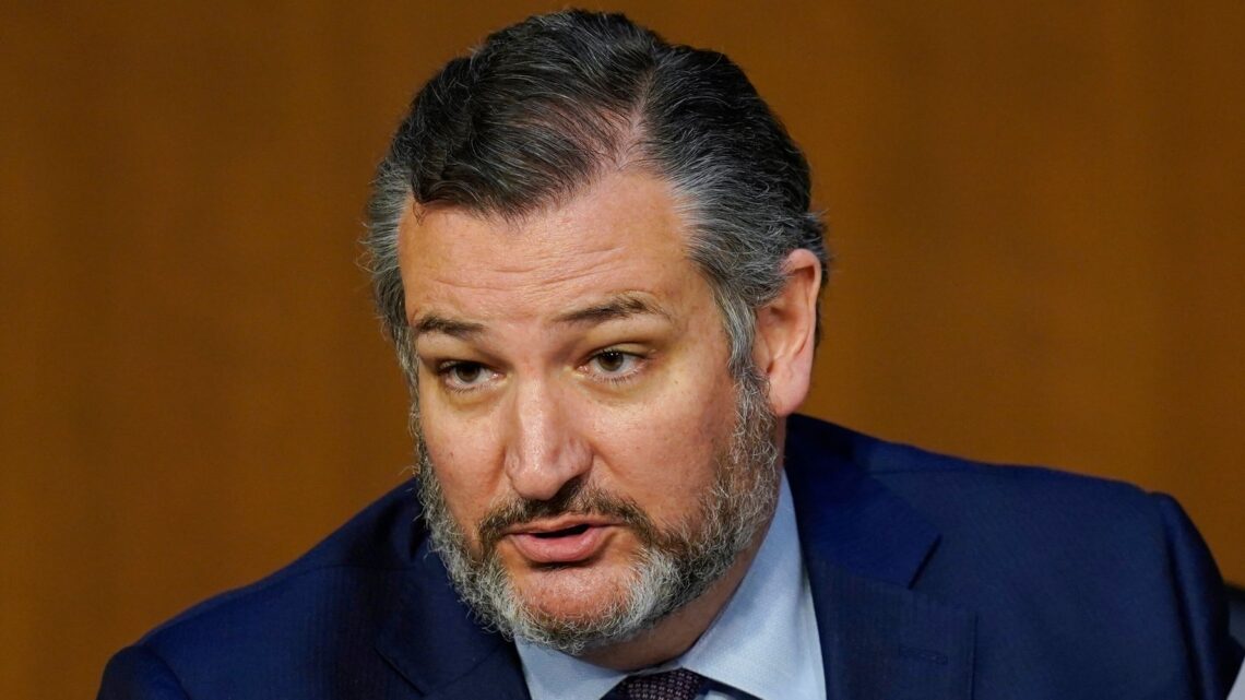 ‘Daily Show’ Torches Ted Cruz With A New Job He’d Be Brilliant At