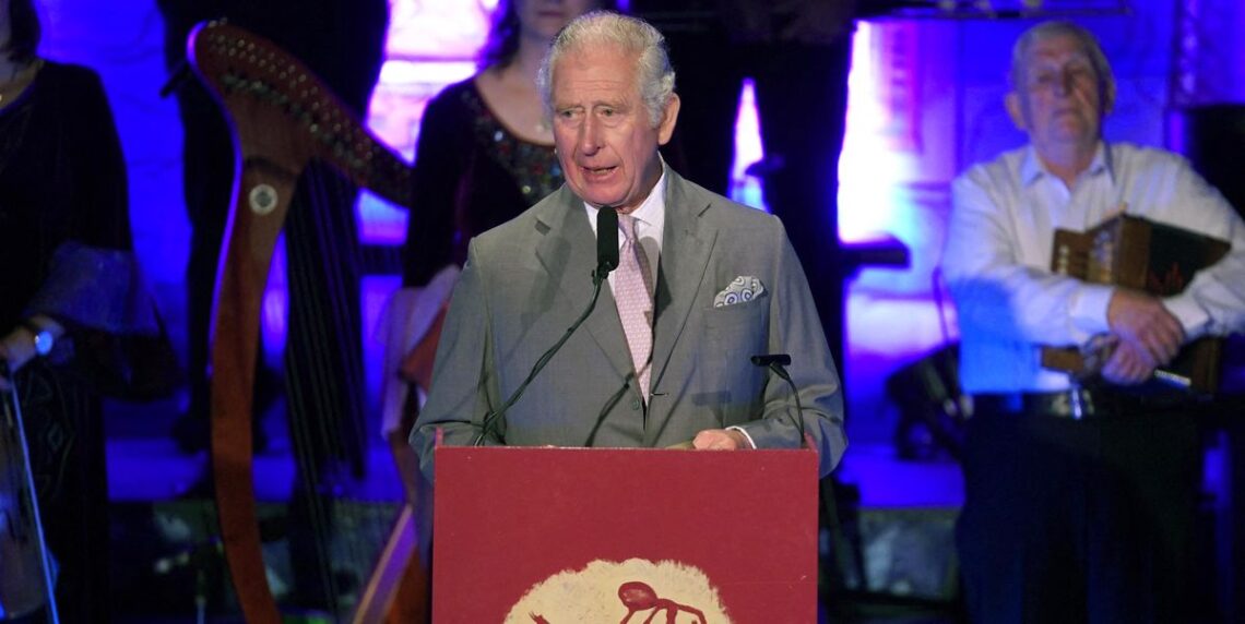 Prince Charles Speaks Out Against Violence Against Women