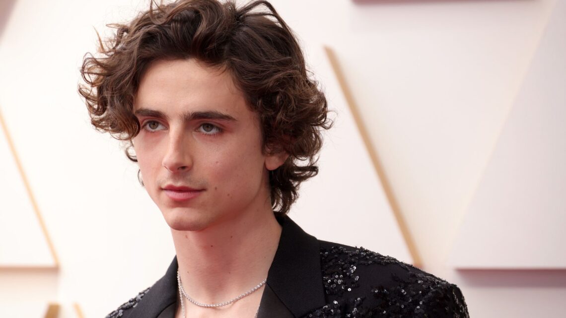 Timothée Chalamet Went Shirtless On The Oscars Red Carpet And Twitter Had A Field Day