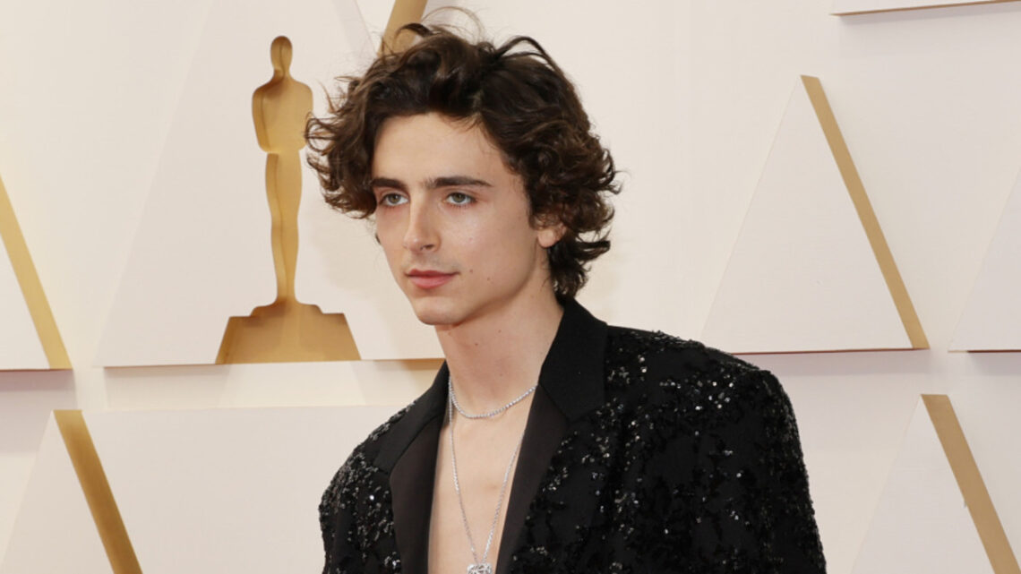 Oh My God, Timothée Chalamet Showed Up Shirtless to the Oscars