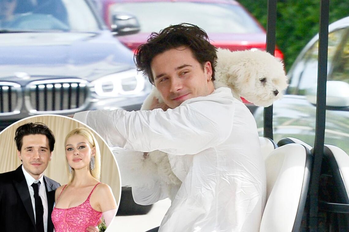 Brooklyn Beckham cruises around in golf cart with pooch ahead of wedding