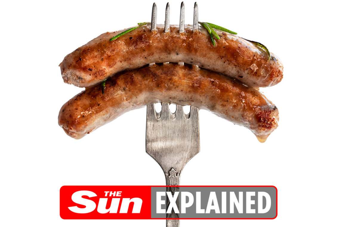 Can you reheat pork?