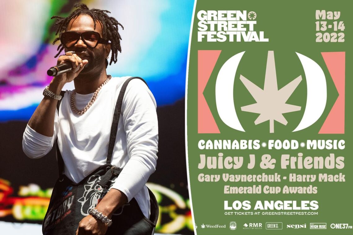 Much-hyped Green Street Cannabis Festival faces high setback