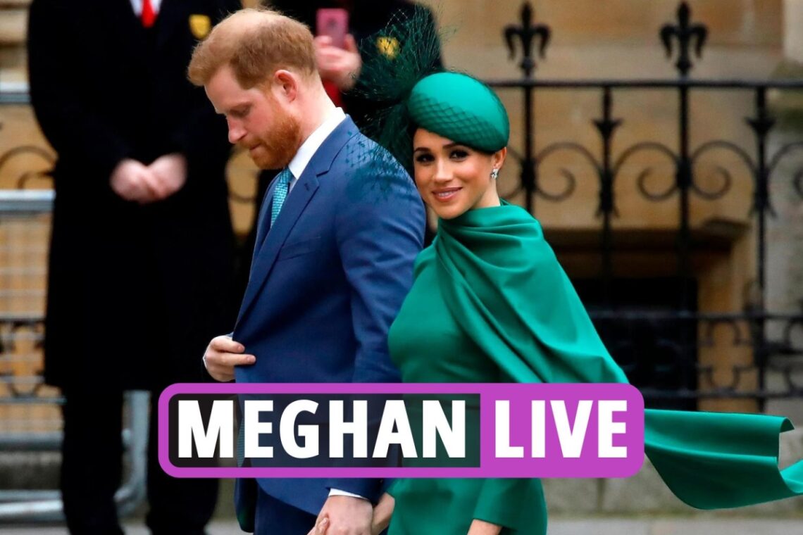 Meghan Markle latest news: ‘Emotionally needy’ Prince Harry DOMINATED by Duchess & is now ‘paying price’ for Megxit