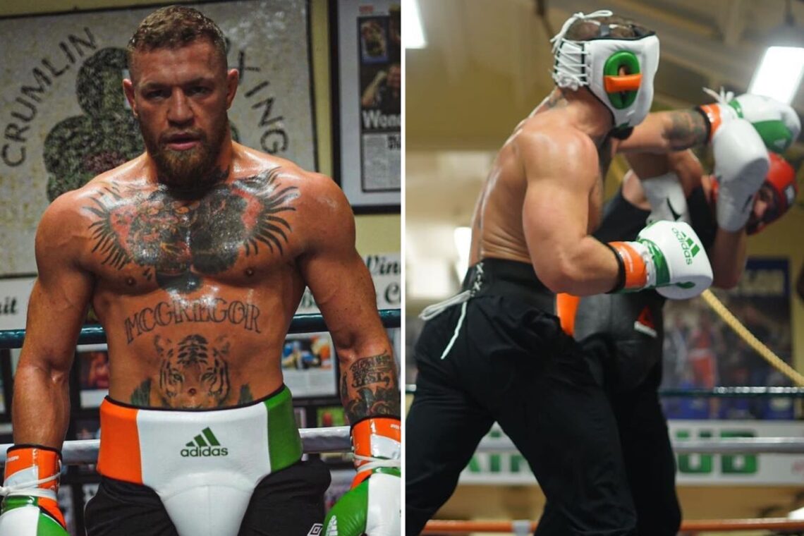 Conor McGregor shows off insane physique as UFC legend works up a sweat in sparring ahead of return following injury