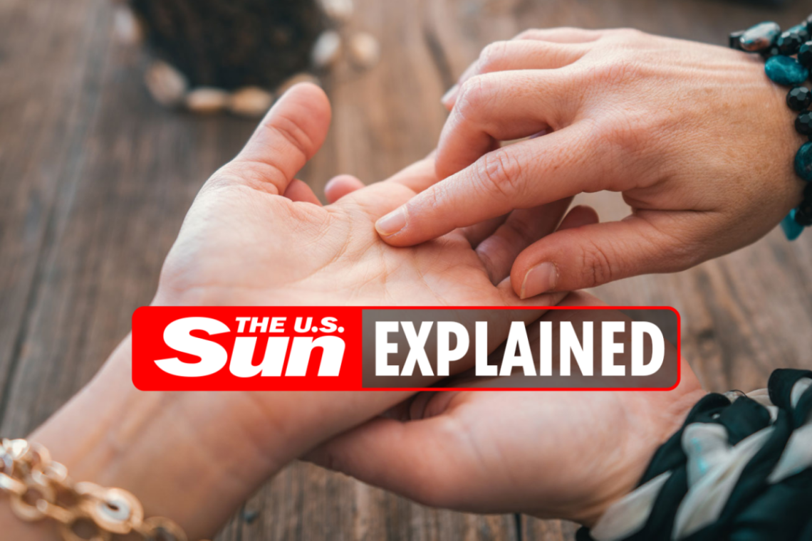 What is a palm reading?