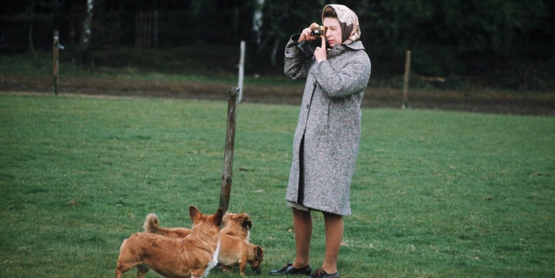 Queen Elizabeth’s Corgis Were a “Godsend” During the Pandemic