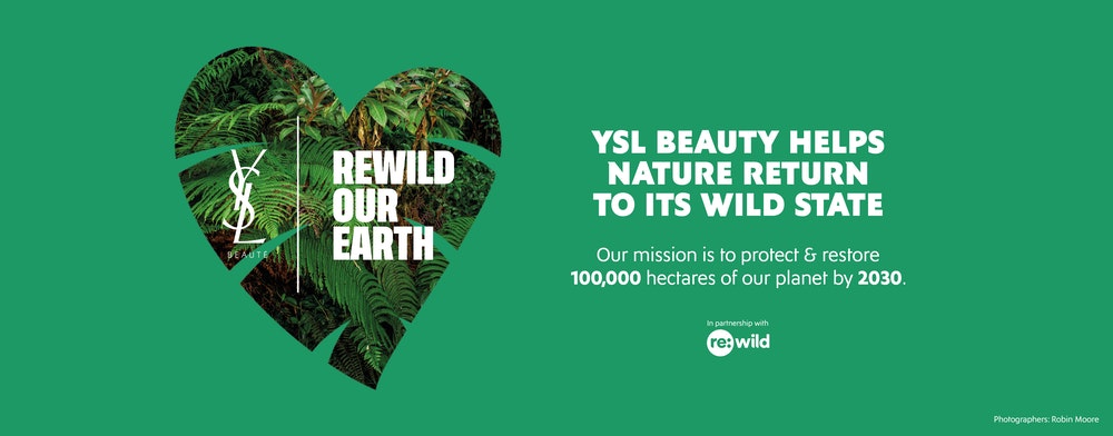 YSL Beauty’s New Sustainability Initiative With Re:Wild — Sustainablity Earth Day