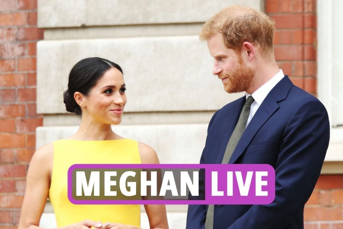 Prince Harry reveals EXACTLY what life is like with Meghan in major new NBC interview
