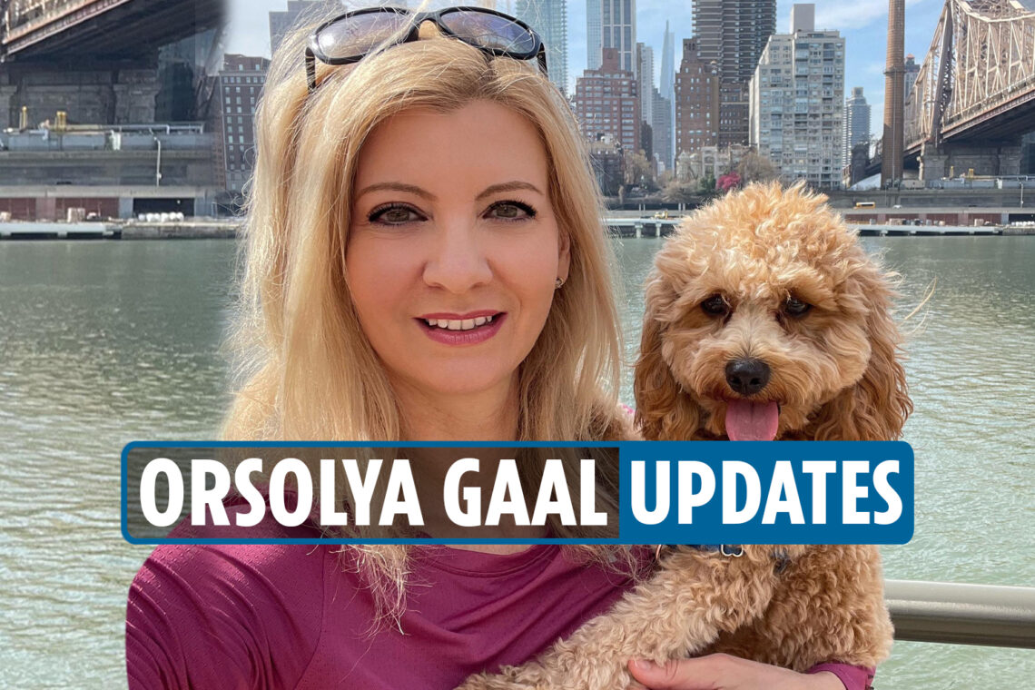 Orsolya Gaal dead news – ‘Murder’ suspect David Bonola ‘returned to Queens home to discuss on-off affair,’ NYPD cops say