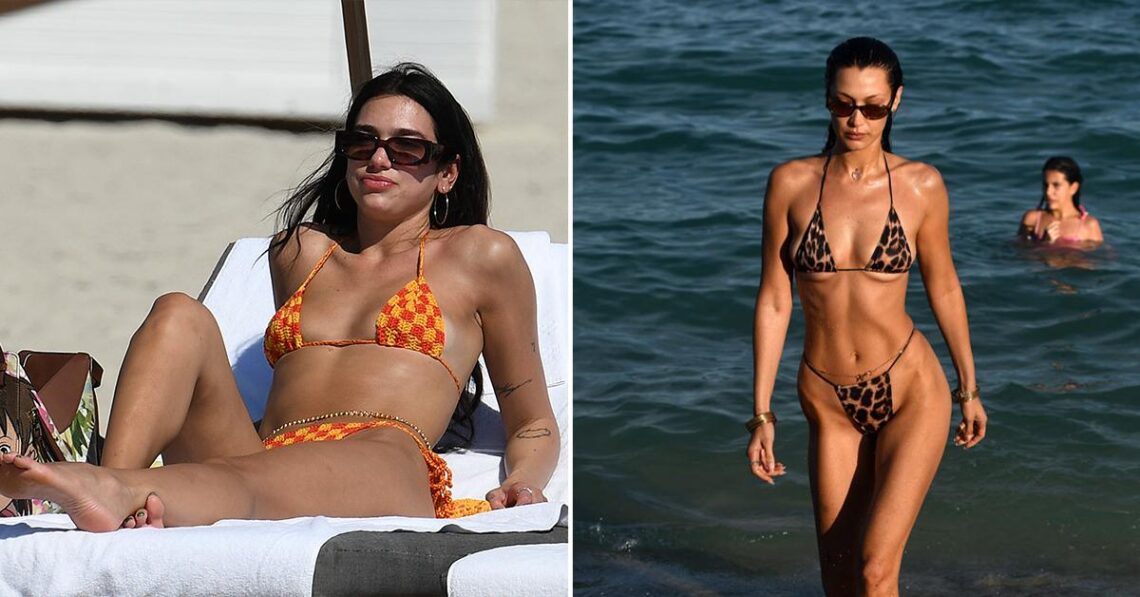 The Hottest Celeb Bikini Bodies: See Photos Of Dua Lipa, Bella Hadid, Salma Hayek & More!