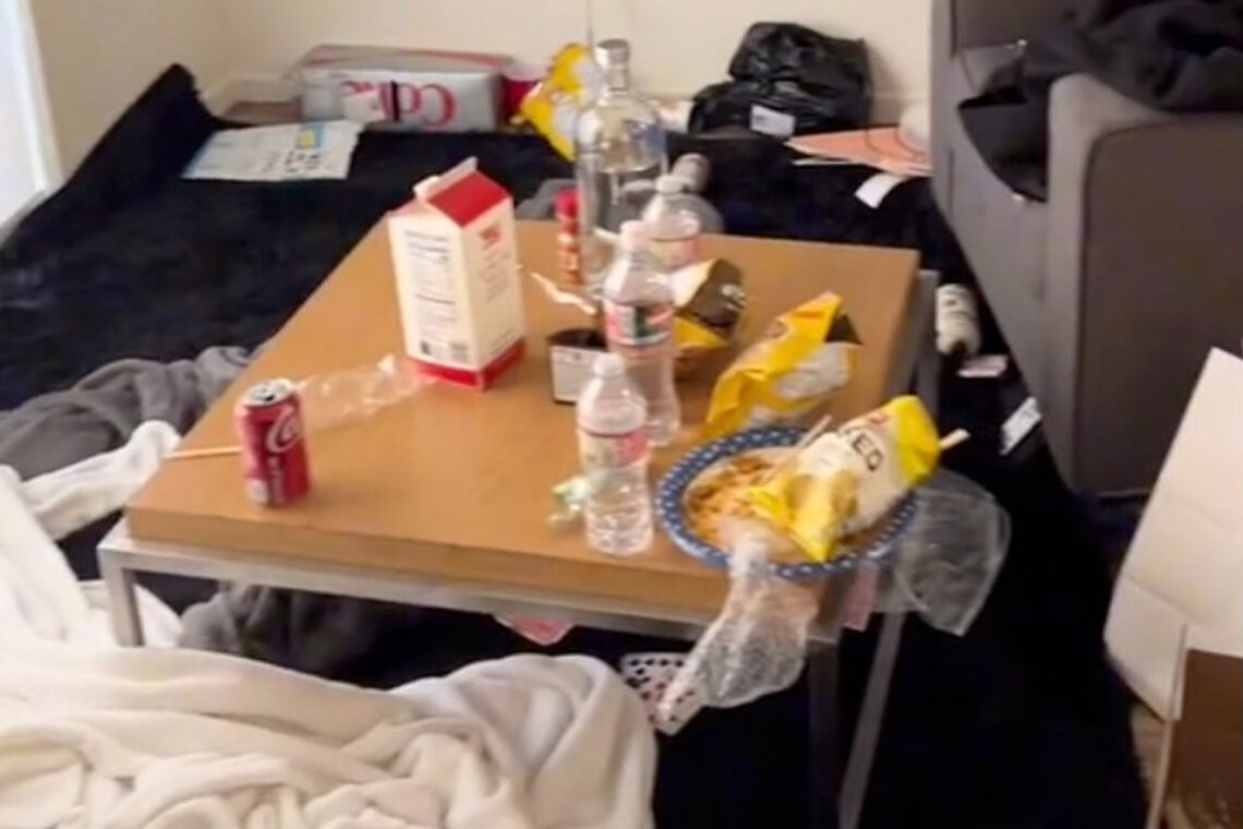 I’m a pro cleaner – the grossest homes I’ve tidied included one full of ROTTING food