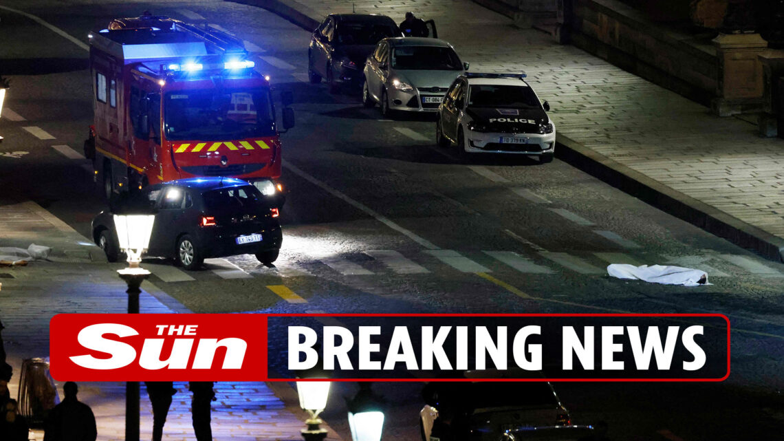 Cops ‘open fire on car that tried to hit them’ in Paris, killing two and leaving one injured