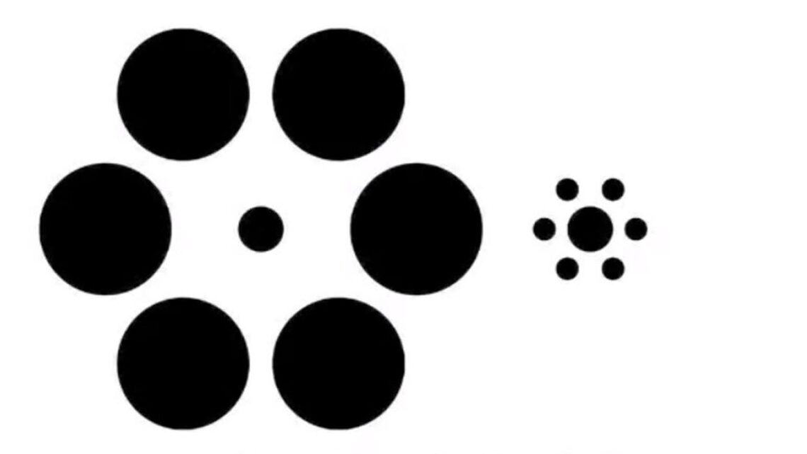 Mind-boggling optical illusion holds a secret for viewers