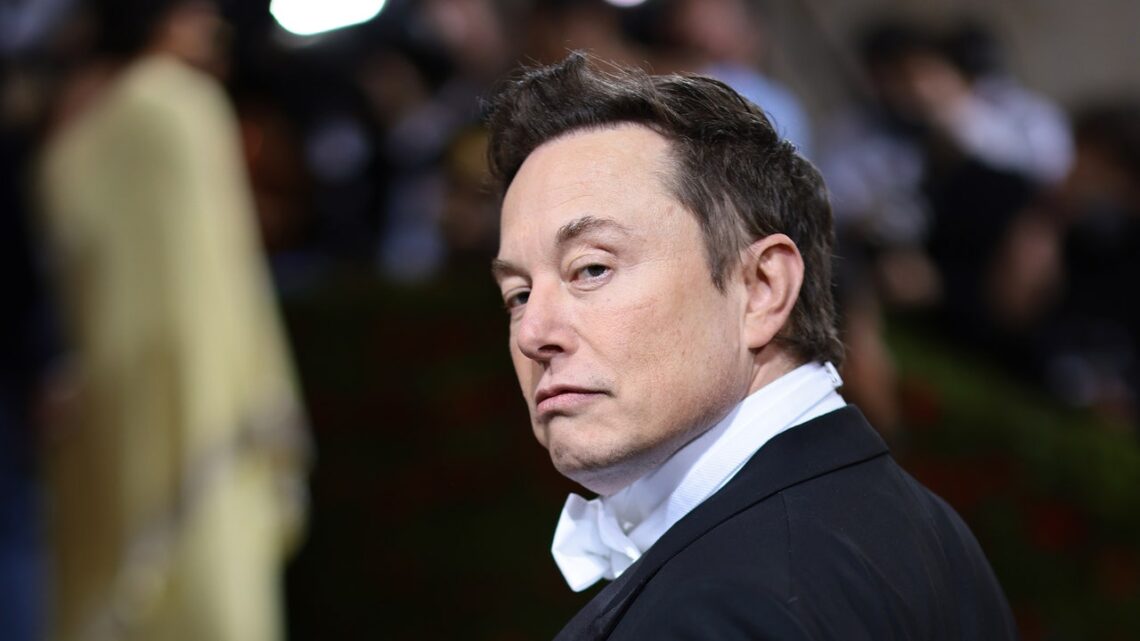 Elon Musk Calls All His Multibillionaire Friends to Help Him Buy Twitter