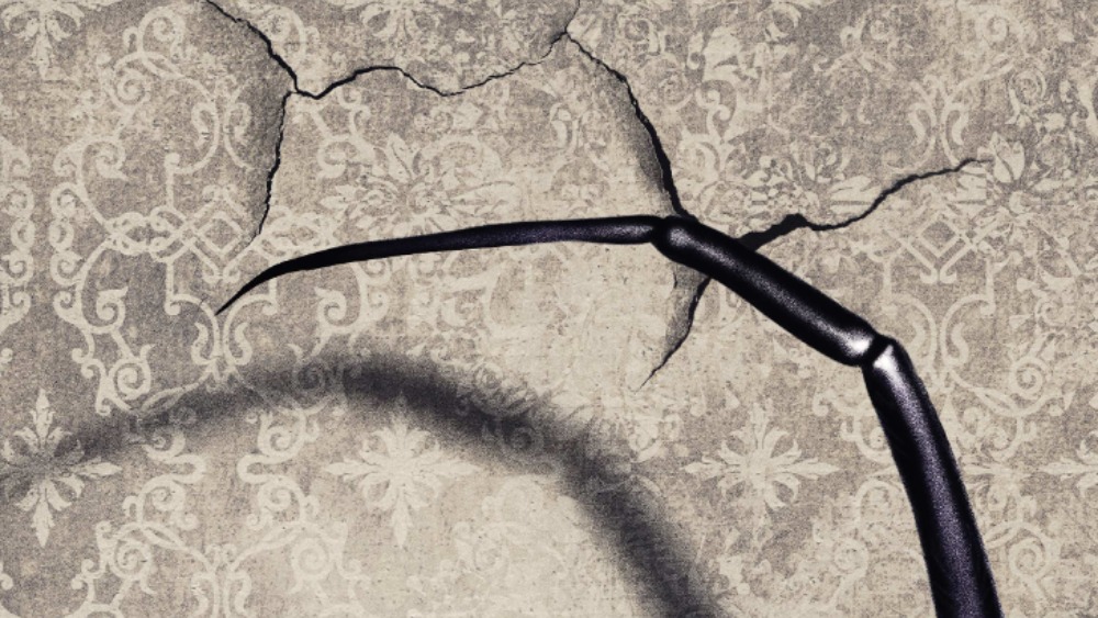 Arachnophobia Horror ‘Sting’ to Be Unleashed on Cannes Buyers