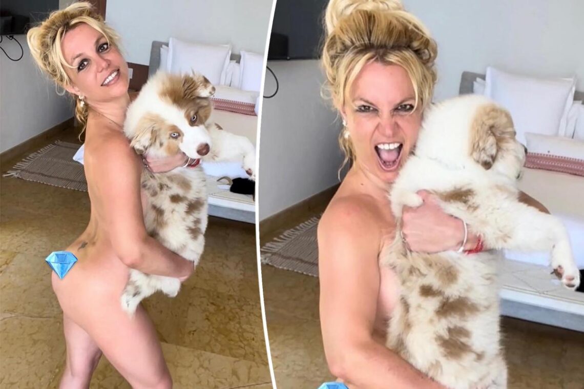 Pregnant Britney Spears poses nude with her dog Sawyer