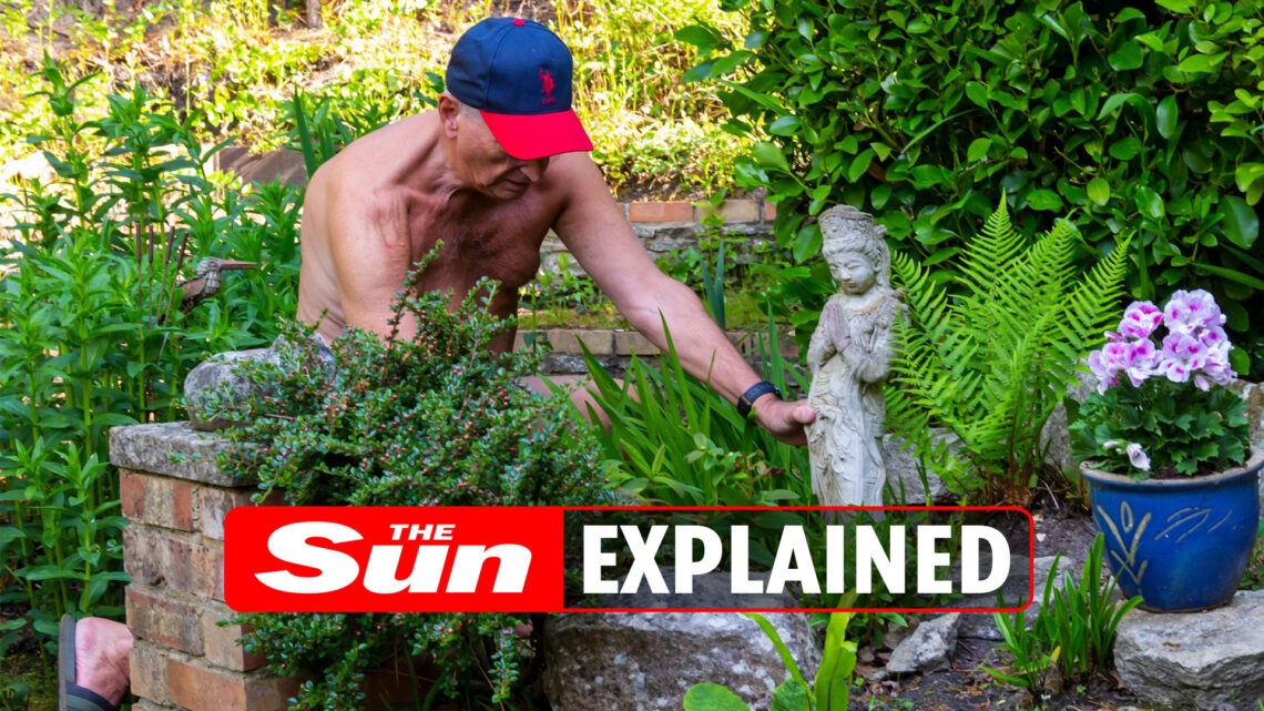 What is World Naked Gardening Day and how is it celebrated?